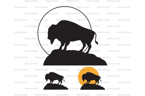 Download American Bison (Buffalo) at Sunset - Premium Resources